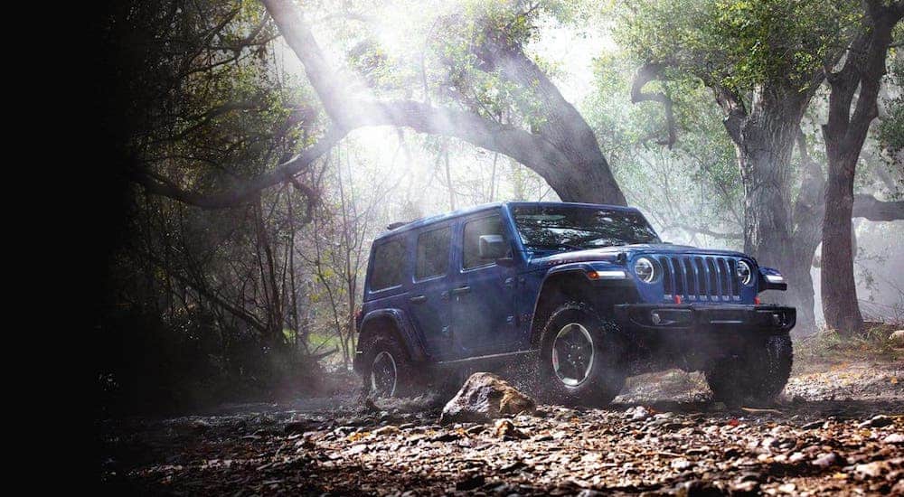 One of the most recognizable Jeep SUVs, a blue 2020 Jeep Wrangler Unlimited, is driving on a woodland trail.