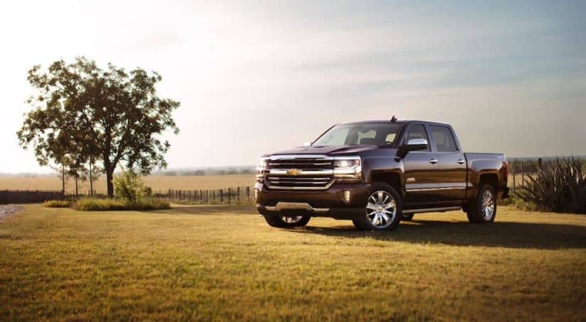 A crowd favorite at used car dealerships, a black 2017 Chevy Silverado 1500 High Country, is shown parked next to a tree in a field.