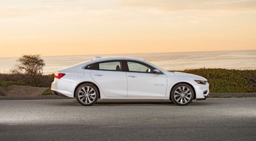 A popular used car, a white 2018 Chevy Malibu, is shown from the side while parked in front of an ocean.