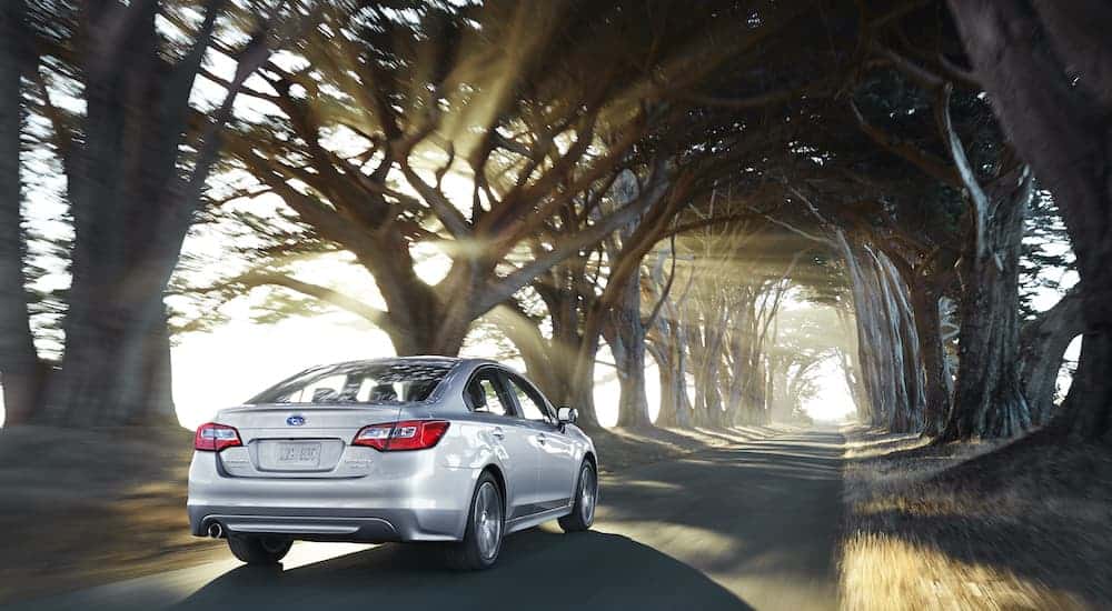 A silver 2015 Subaru Legacy is driving down a road surrounded by a canopy of trees.