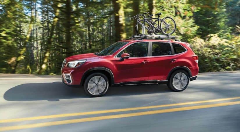 A red 2021 Subaru Forester is driving on a tree-lined road with bikes on the roof.