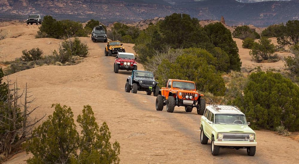 A line of modified Jeeps driving down a hill during 4x4 day.