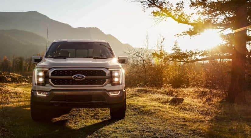 A white 2021 Ford F-150 King Ranch is parked on the grass after winning the 2021 Ford F-150 vs 2021 Chevy Silverado 1500 comparison.