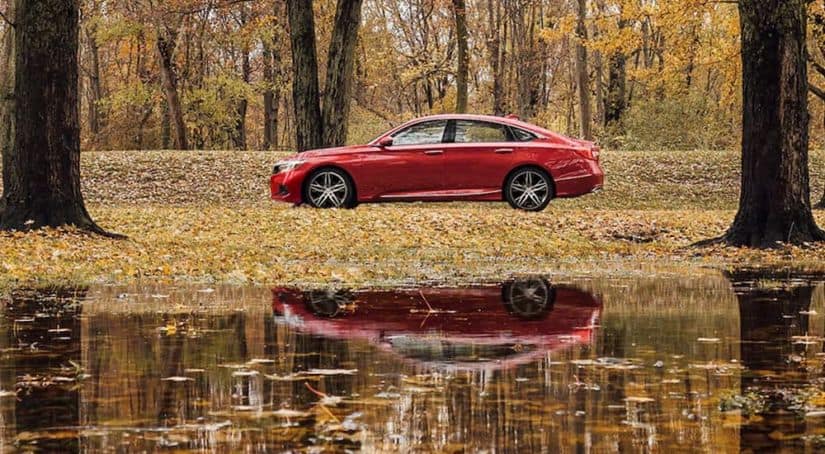 A red 2021 Honda Accord is shown from the side between two trees with a pond in the foreground.