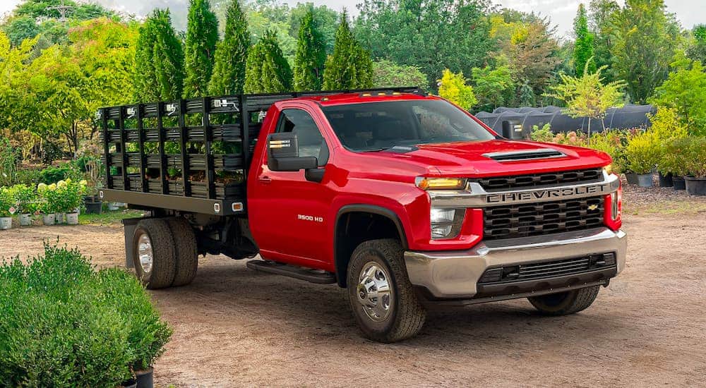 A popular Chevy Truck, a red 2021 Chevy Silverado 3500 HD, red is parked in a plant nursery.