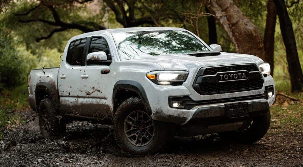A white 2020 Toyota Tacoma TRD is driving through the mud in the woods after leaving a Toyota dealer near you.