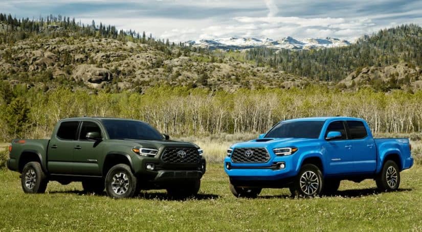 Two Toyota pickup trucks, a green and a blue 2021 Toyota Tacoma, are parked on grass in front of a hill.