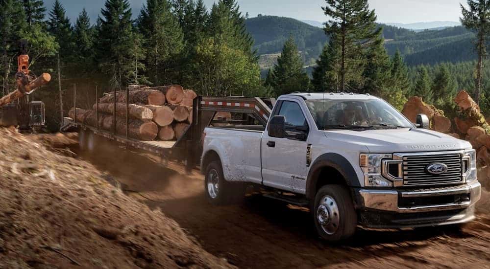 A white 2021 Ford Super Duty is hauling logs on a dirt road.