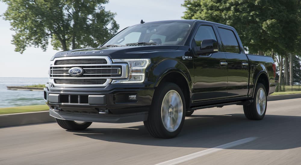 A black 2019 Ford F-150 is shown from the front driving on an open road.