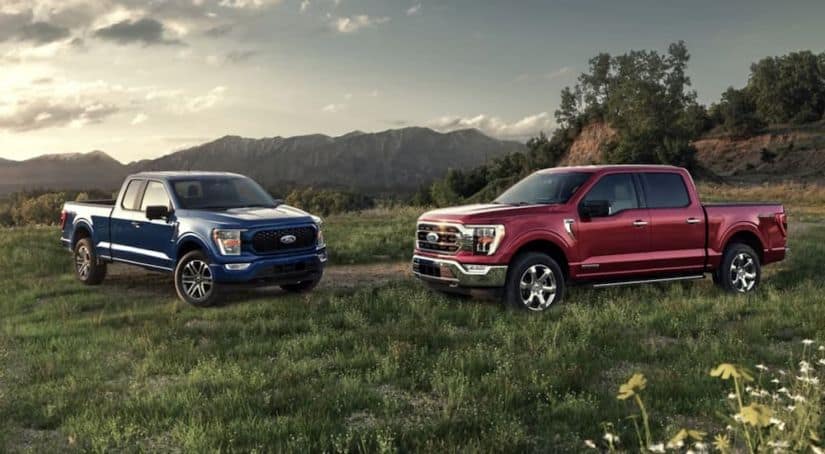 A blue and a red 2021 Ford F-150 are parked in a field in front of distant mountains.