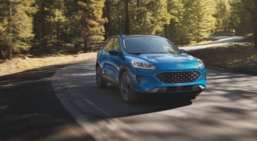 A blue 2021 Ford Escape is driving on a winding forest road after winning the 2021 Ford Escape vs 2021 Mazda CX-5 comparison.