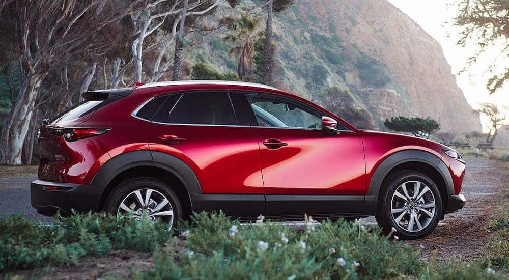 A red 2021 Mazda CX-30 is shown from the side with trees and a cliff in the background.