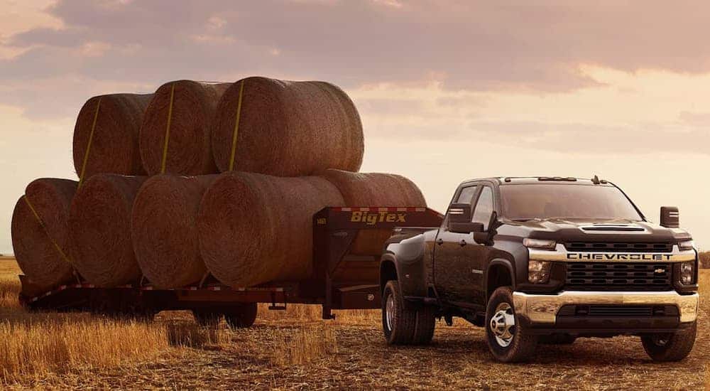 A black 2021 Chevy Silverado 3500HD LT is towing large bales of hay through a field on a gooseneck trailer.