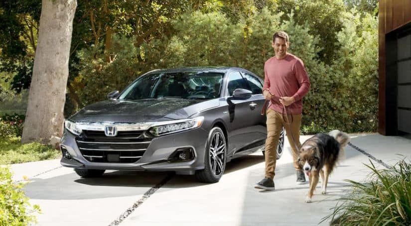 A man is walking his dog next to a grey 2021 Honda Accord in the driveway of a modern house.