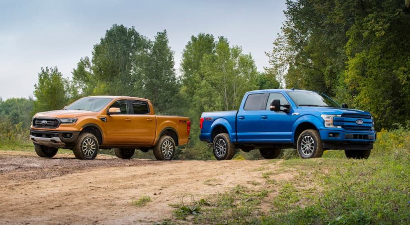 A blue and orange 2019 Certified Pre-Owned Ford F-150 are parked in a dirt field surrounded by forest.