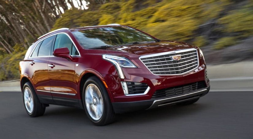 A popular used family car for sale, a red 2019 Cadillac XT5 Platinum, is driving down a tree-lined road.