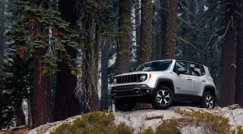 A silver 2020 Jeep Renegade Trailhawk is shown parked on a boulder in the forest.