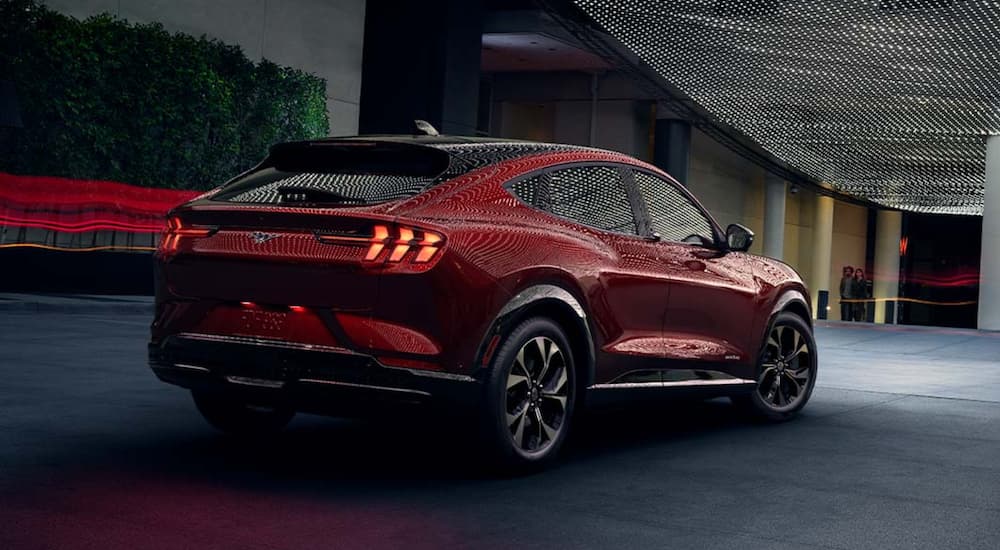 A red 2021 Ford Mustang Mach-E is shown from the rear parked in a modern gallery.