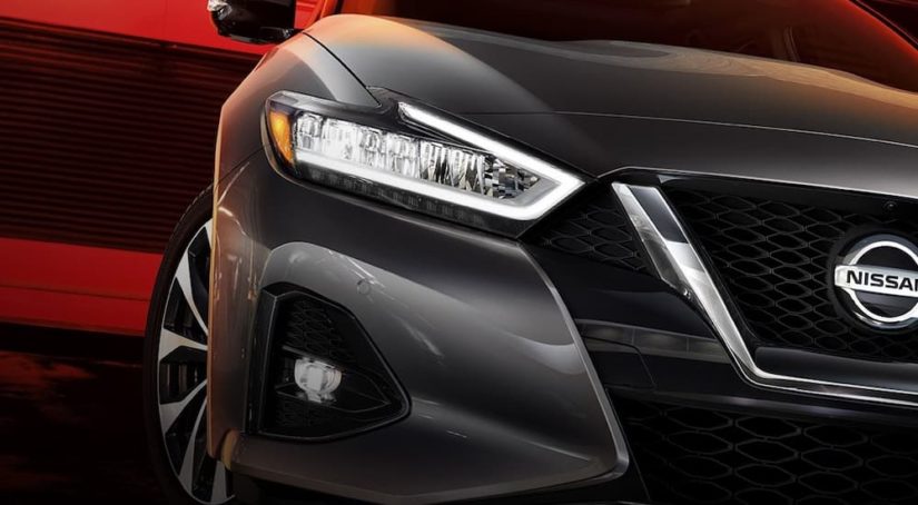 A close up of the front hood and headlights of a grey 2021 Nissan Maxima is shown on a red background.