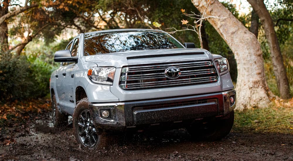 A white 2021 Toyota Tundra is shown from the front off-roading through a forest.