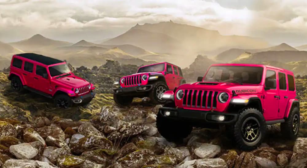 Three pink vehicles are shown, a 2022 Wrangler Sahara 4xe Unlimited, a 2021 Wranlger Rubicon 4xe Unlimited, and a 2021 Wrangler Rubison 392 Unlimited.
