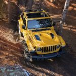 A yellow 2019 Jeep Wrangler Rubicon is shown from a high angle off-roading in a forest.