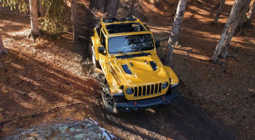 A yellow 2019 Jeep Wrangler Rubicon is shown from a high angle off-roading in a forest.