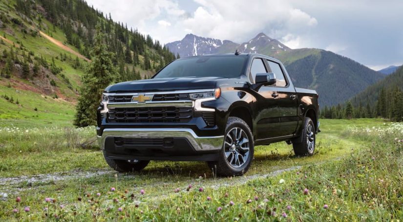 A black 2022 Chevy Silverado 1500 LT is shown parked in a field.