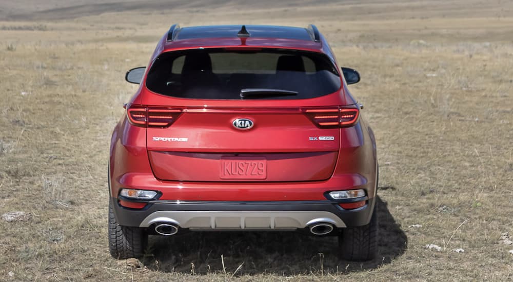 A red 2022 Kia Sportage is shown from the rear parked in a field.