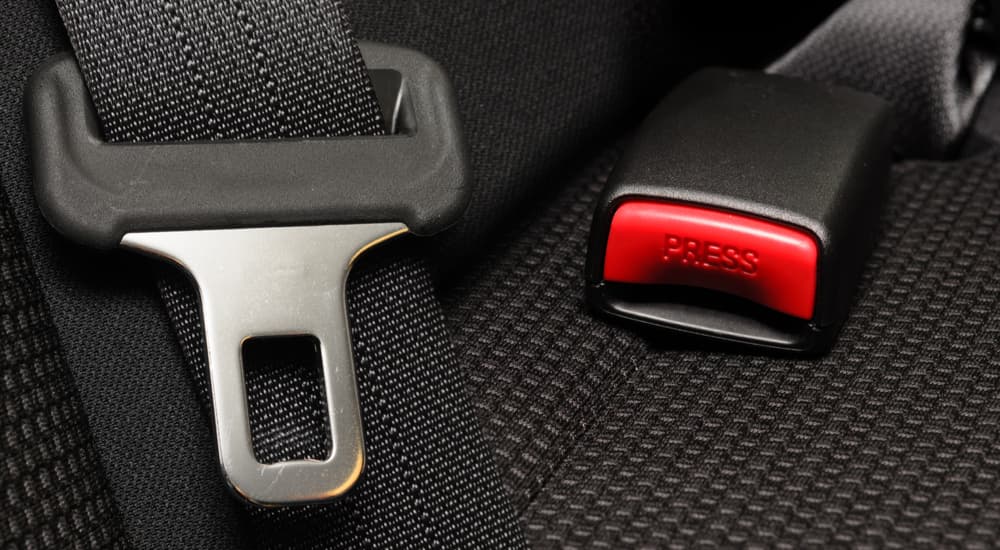 A seat belt buckle is shown.