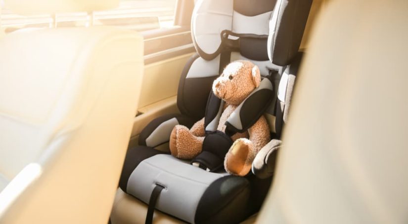 A stuffed bear is shown buckled into a car seat.