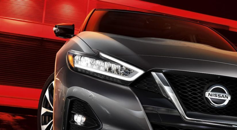 A close up shows the headlight and grille of a grey 2022 Nissan Maxima.