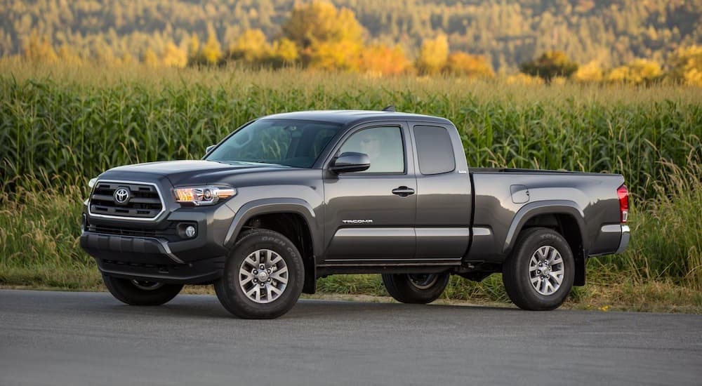 A grey 2017 Toyota Tacoma is shown form the side parked in front of a corn field.