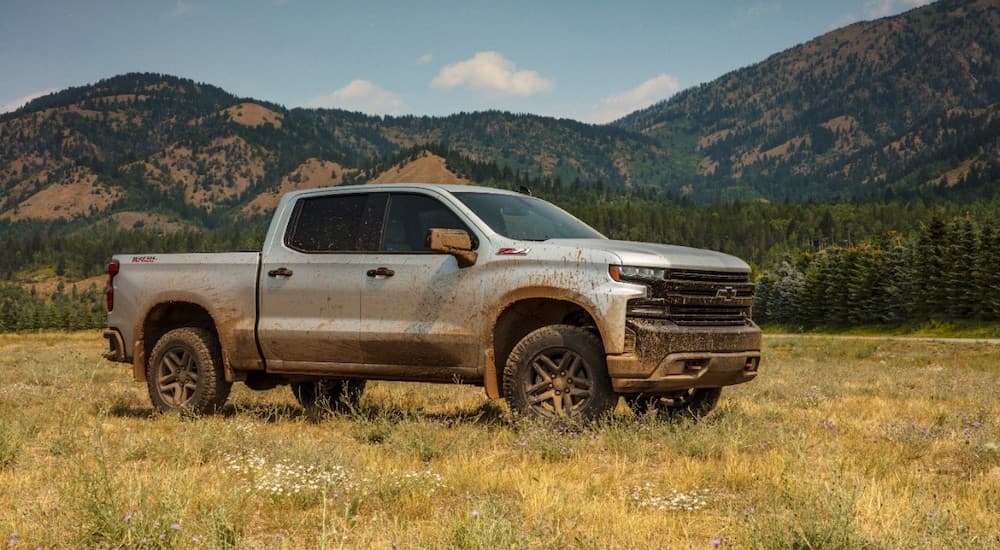A silver 2019 Chevy Silverado 1500 is shown from the side parked in a field.
