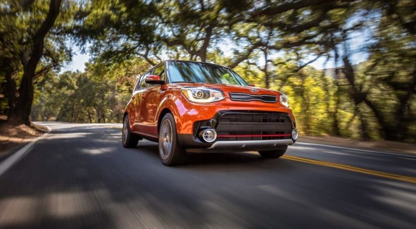 An orange 2019 Kia Soul is shown from the front driving on a an open road.