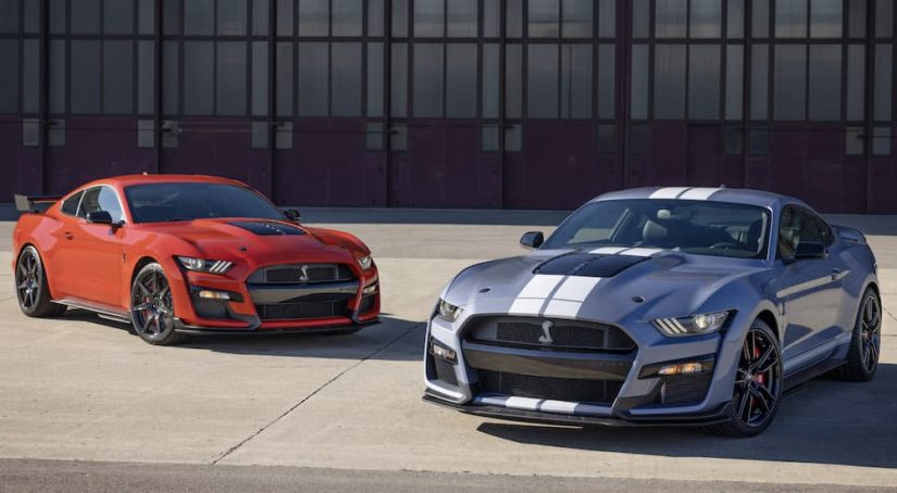 A red 2022 Ford Mustang GT500 and a grey GT500 Heritage Edition are shown angled toward each other.
