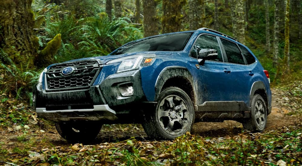 A blue 2022 Subaru Forester Wilderness is shown on a forest trail.