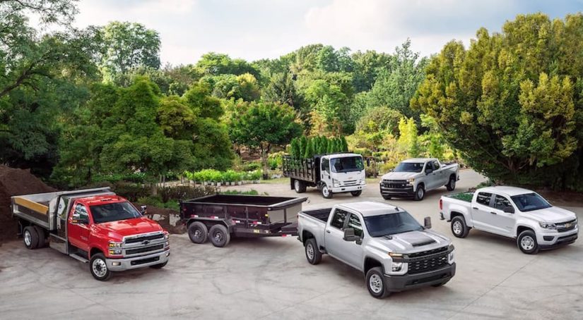 The 2021 Chevy WT lineup is shown parked outside of a plant nursery.