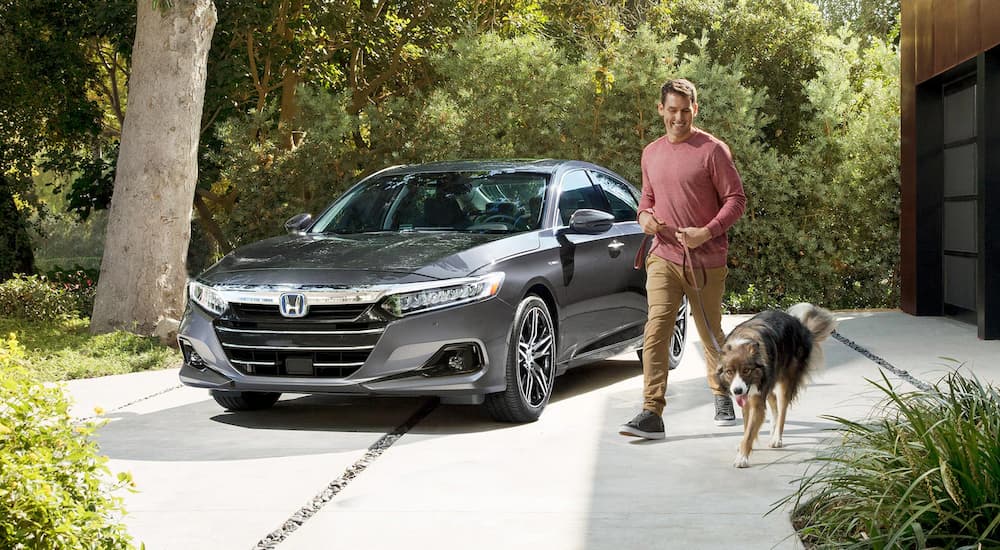 A man is shown walking his dog near a silver 2022 Honda Accord Touring.