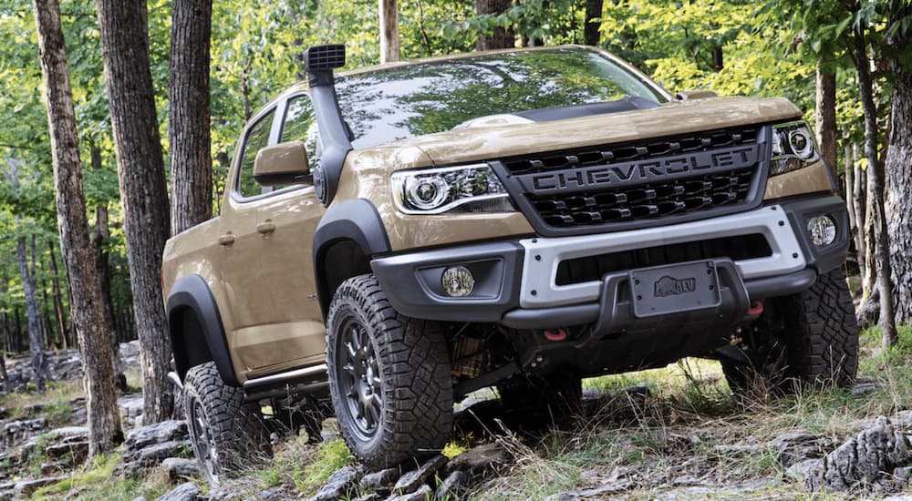 A tan 2022 Chevy Colorado ZR2 Bison is shown driving on a forest trail.