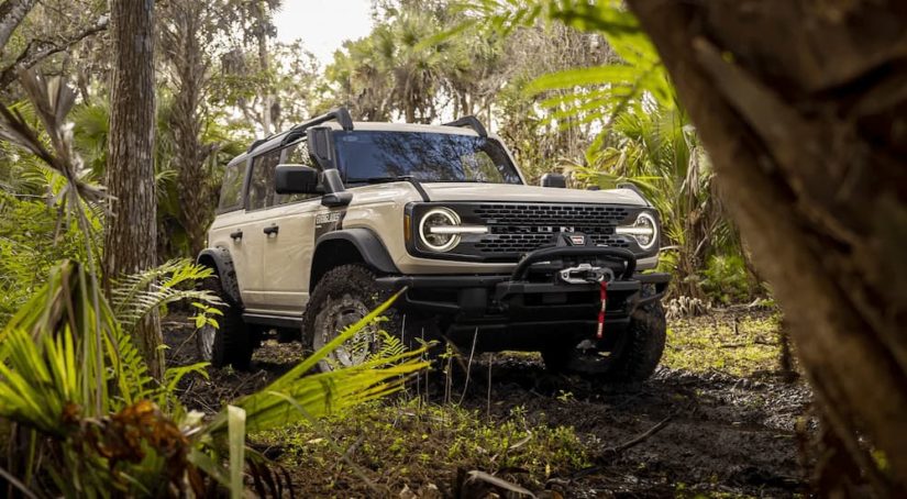 A tan 2022 Ford Bronco Everglades is shown parked on a muddy trail.