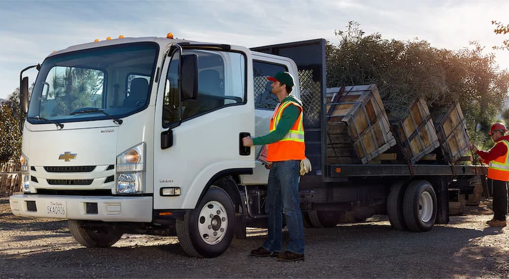 A white 2021 Chevy Low Cab Forward is shown with a bed full of trees.