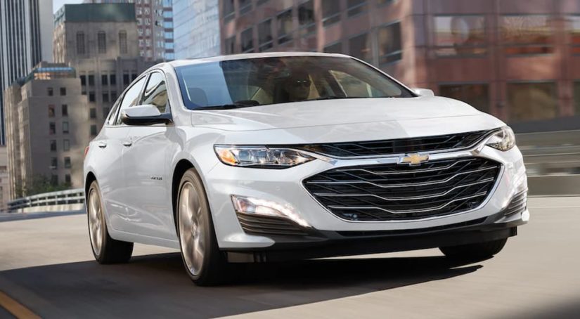 A white 2022 Chevy Malibu is shown from the front at an angle while driving down a city street during a 2022 Chevy Malibu vs 2022 Honda Accord comparison.