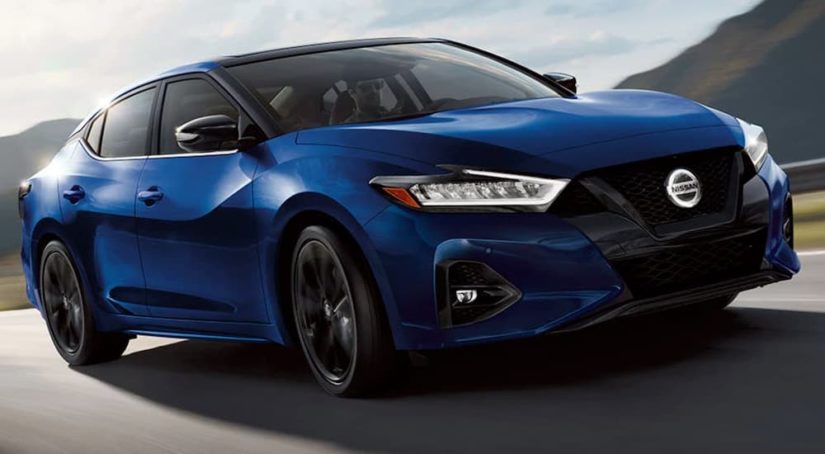 A blue 2021 Nissan Maxima is shown from the front at an angle after leaving a Nissan dealer.
