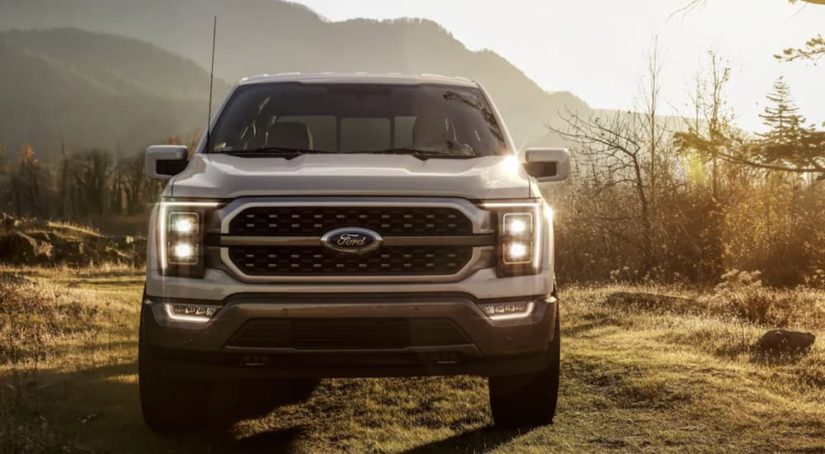 A silver 2022 Ford F-150 is shown from the front parked in a field during a 2022 Ford F-150 vs 2022 Toyota Tundra comparison.