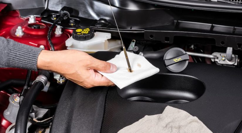 What Engine Oil Color Can Tell You About Your Car’s Health