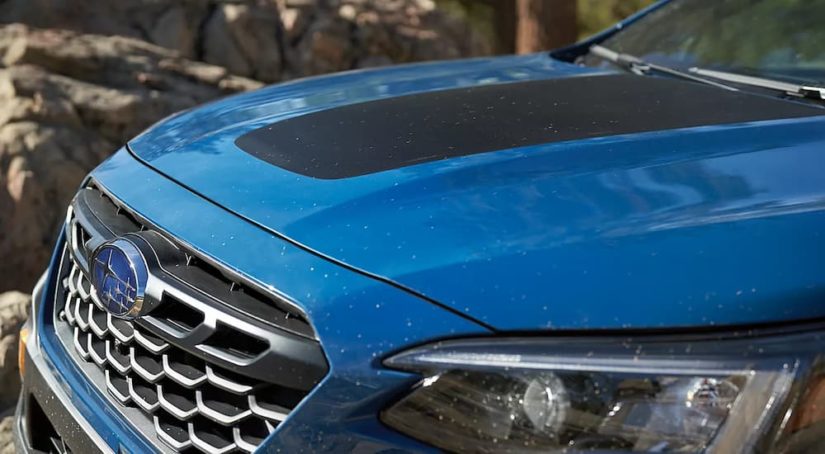 A close up of the hood of a blue 2022 Subaru Outback Wilderness at a Subaru dealer.