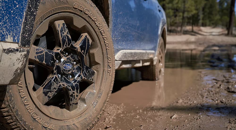 A close up of a blue 2022 Subaru Outback Wilderness is shown driving through a muddy puddle.