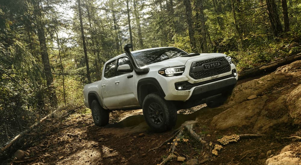 A white 2022 Toyota Tacoma is shown from the front at an angle while driving through the forest.