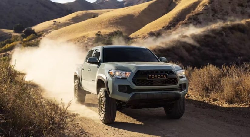 A grey 2022 Toyota Tacoma is shown from the front at an angle on a trail.